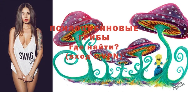 a pvp Алексин